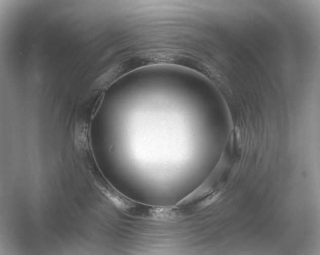 X0000054360141200508051539