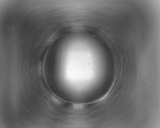 X0000054360144200508051539
