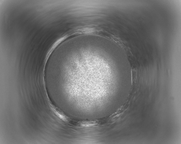 X0000054360147200508051538
