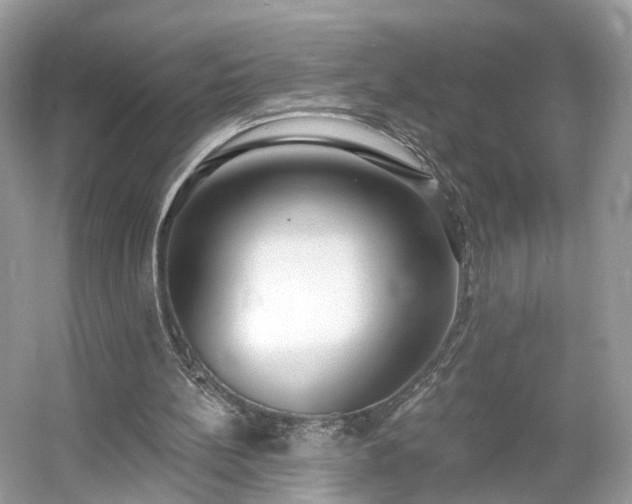 X0000054360148200508051538