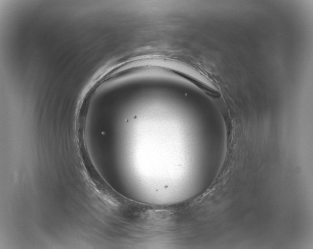 X0000054360150200508051538