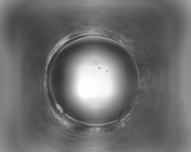 X0000054360152200508051538