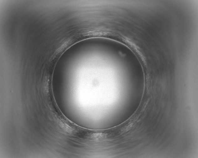 X0000054360153200508051538