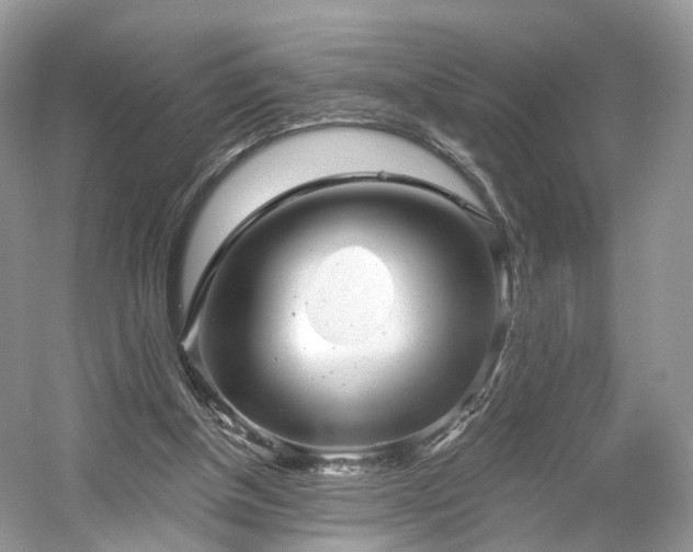 X0000054360154200508051538