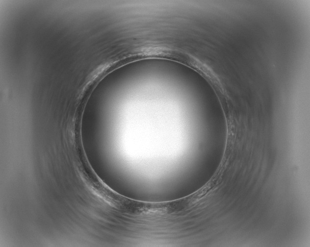 X0000054360155200508051538