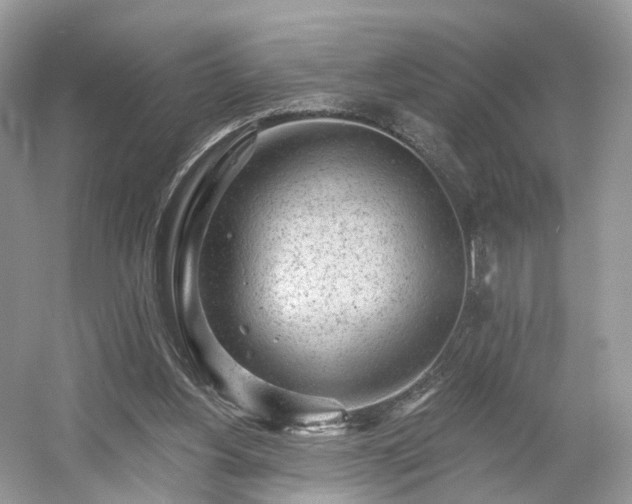 X0000054360156200508051538