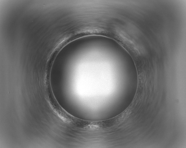 X0000054360159200508051538