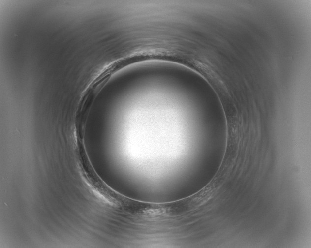 X0000054360160200508051538