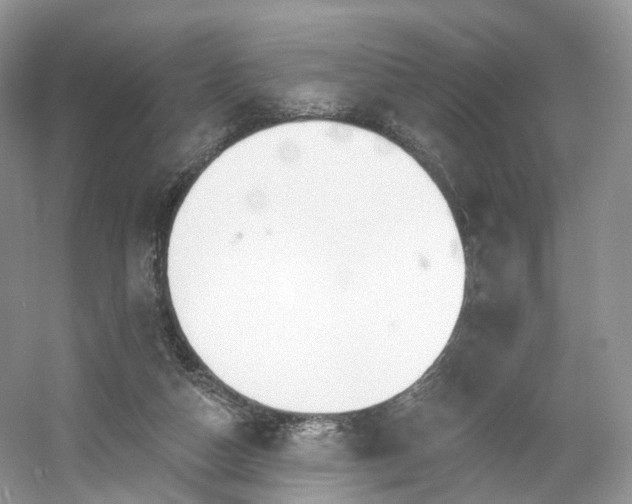 X0000054360162200508051538