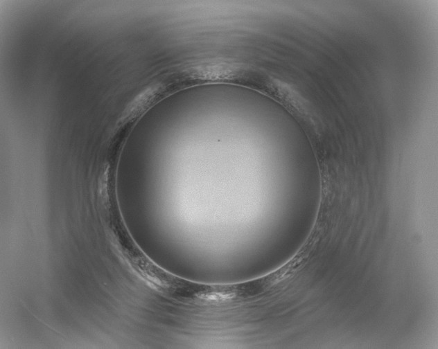 X0000054360163200508051538