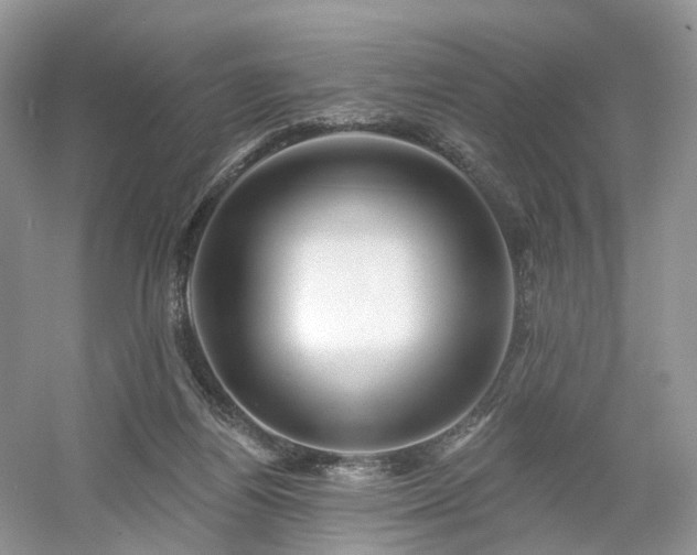 X0000054360164200508051538