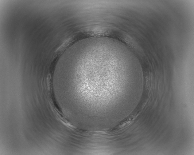 X0000054360165200508051538