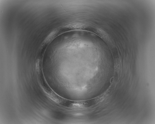 X0000054360167200508051538