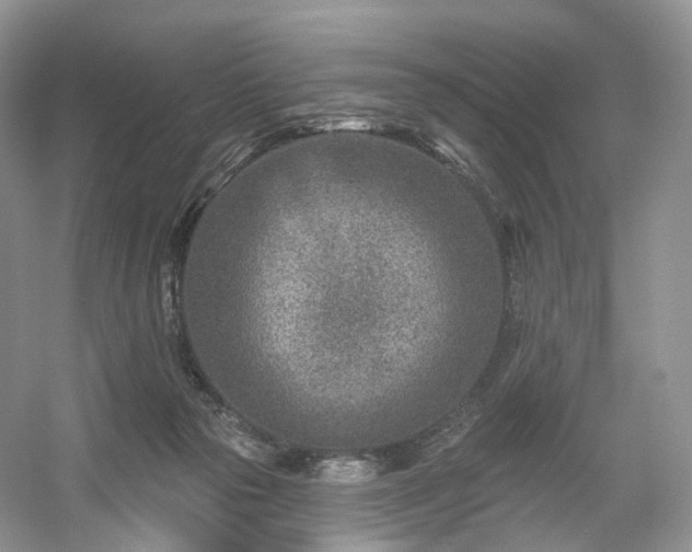 X0000054360169200508051538