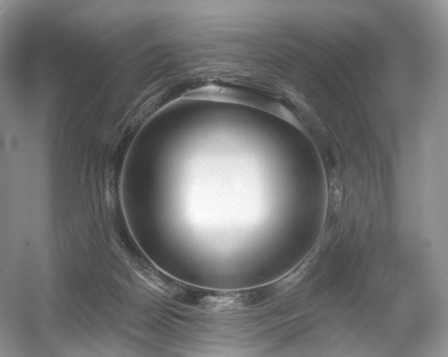 X0000054360170200508051538