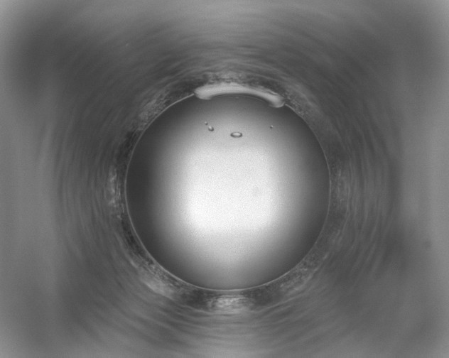 X0000054360173200508051538
