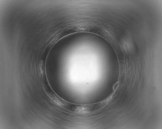 X0000054360174200508051538