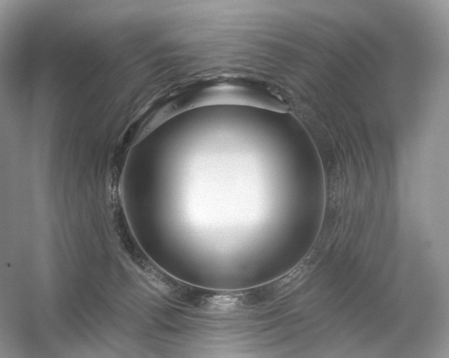 X0000054360176200508051538