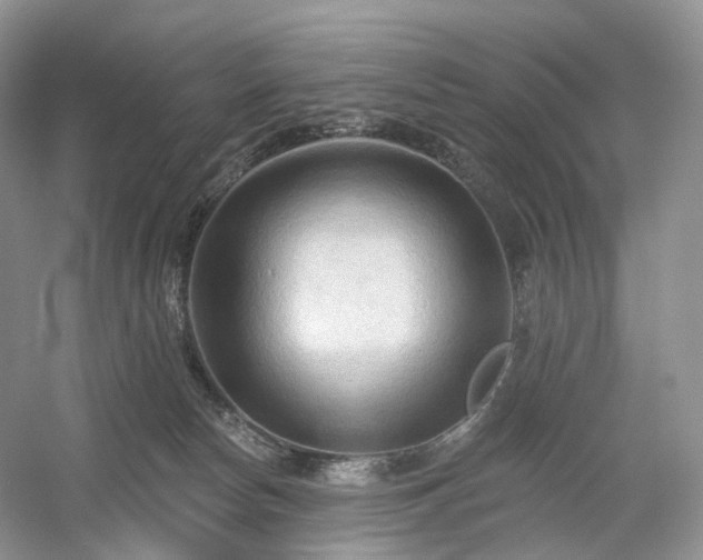 X0000054360178200508051538