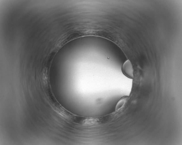 X0000054360179200508051538