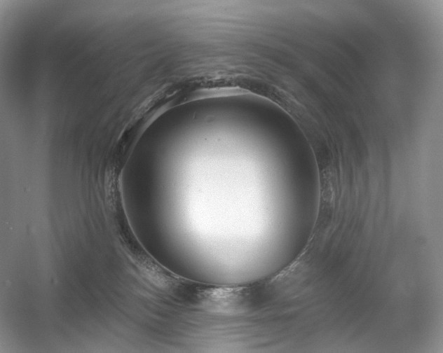 X0000054360184200508051538