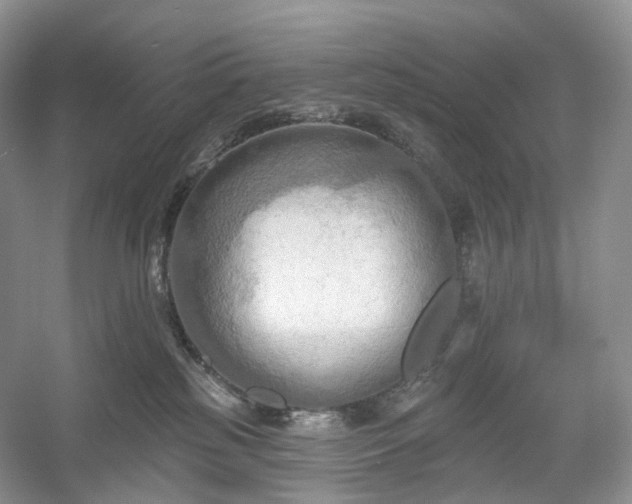 X0000054360185200508051538