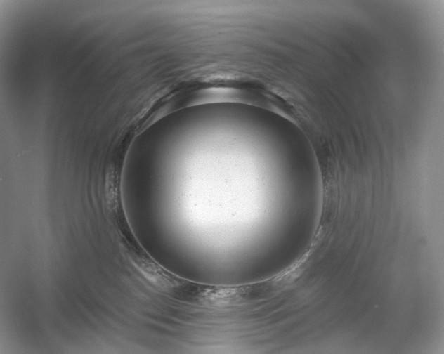 X0000054360186200508051539