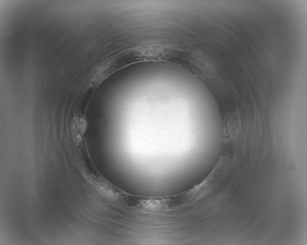X0000054360187200508051539
