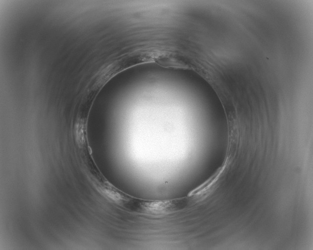 X0000054360191200508051539