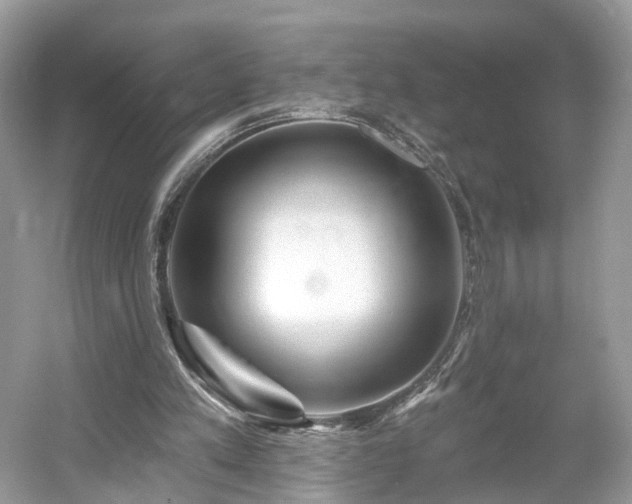 X0000054360197200508051538