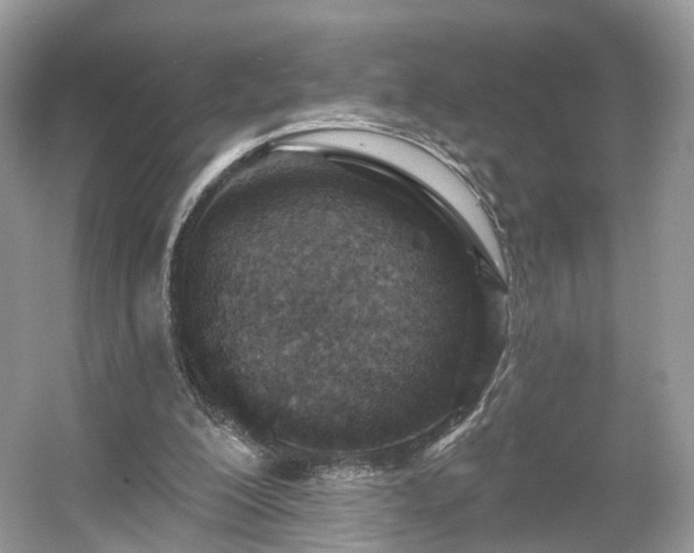 X0000054360200200508051538