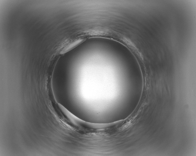 X0000054360201200508051538
