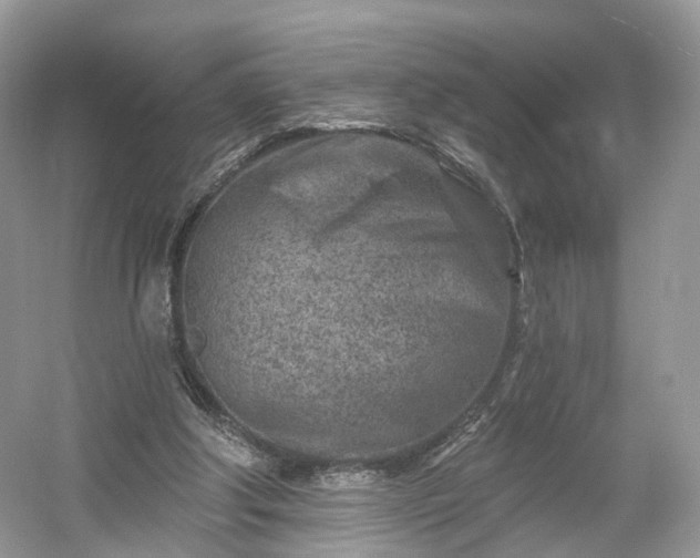 X0000054360202200508051538