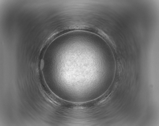 X0000054360203200508051538