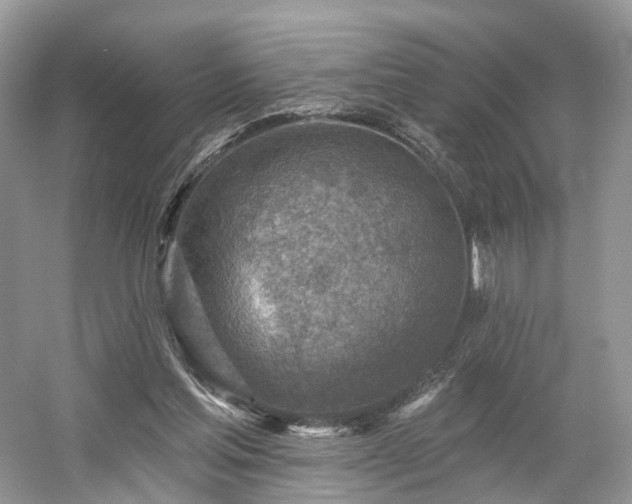X0000054360205200508051538