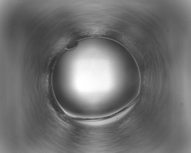 X0000054360206200508051538