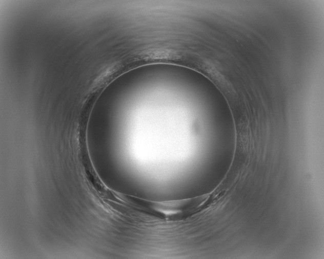 X0000054360207200508051538