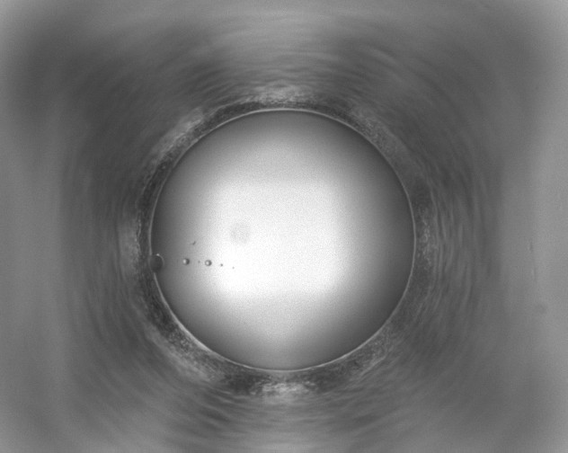 X0000054360208200508051538