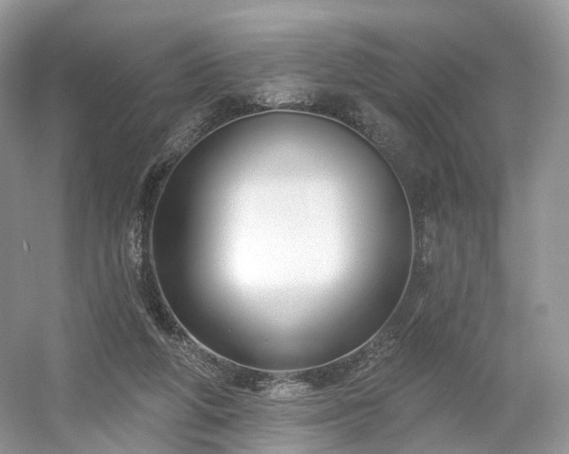 X0000054360210200508051538