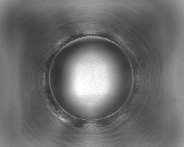 X0000054360211200508051537