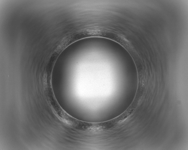 X0000054360213200508051537