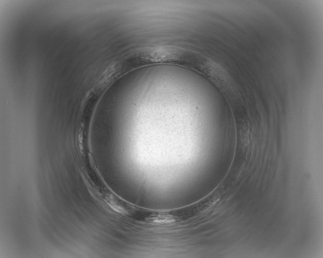X0000054360214200508051537