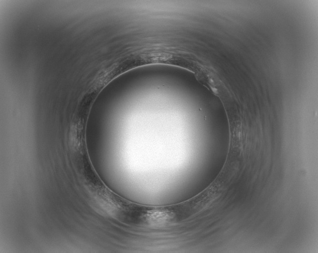 X0000054360218200508051537