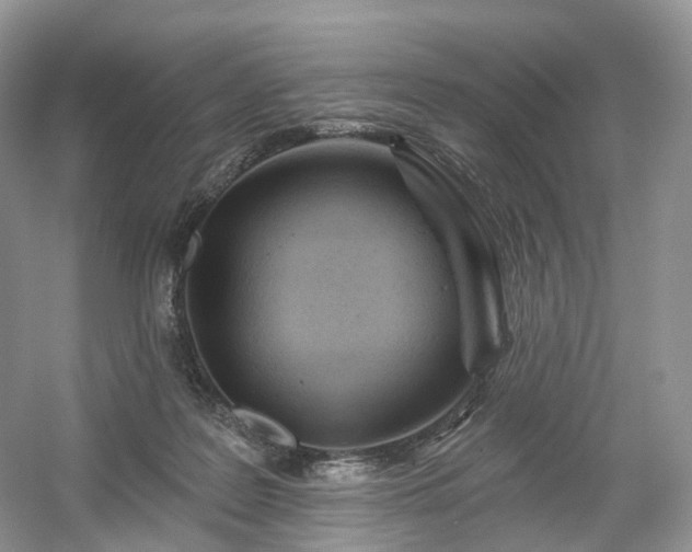 X0000054360219200508051537