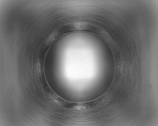 X0000054360220200508051537