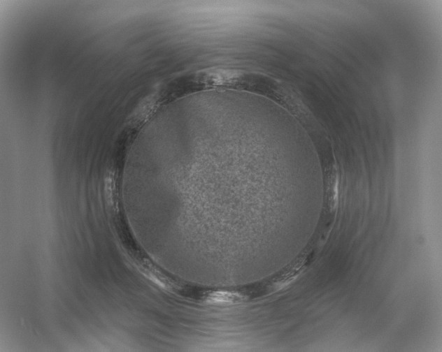 X0000054360222200508051537