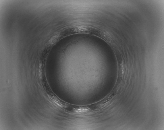 X0000054360223200508051537