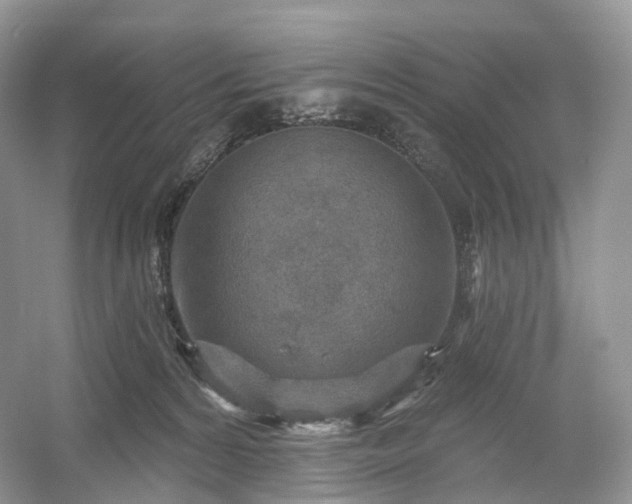 X0000054360224200508051537