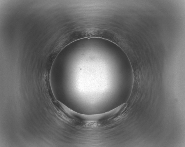 X0000054360225200508051537
