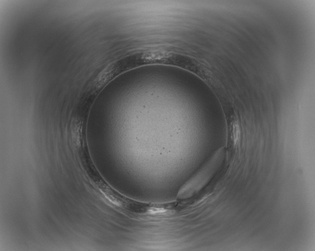 X0000054360227200508051537